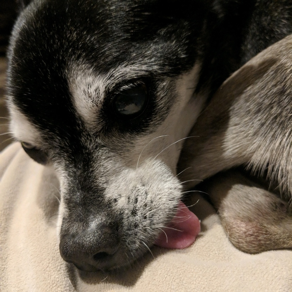 Meet your Posher, Celeste